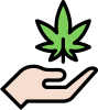 CBD-planta-esposende-barcelos